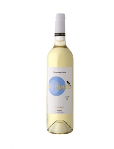 cromatic muscat