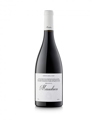 Massaluca